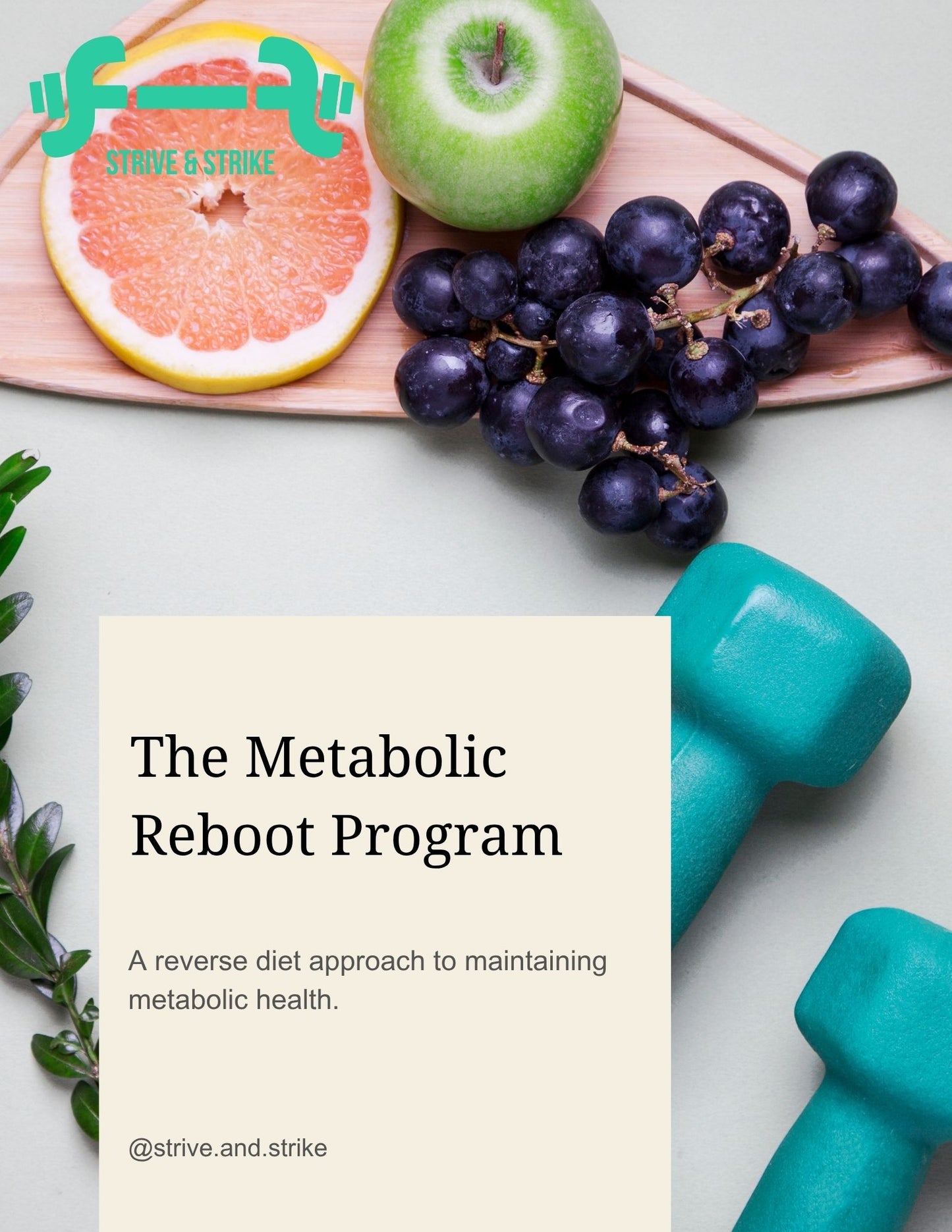 "The Ultimate Health Transformation System"