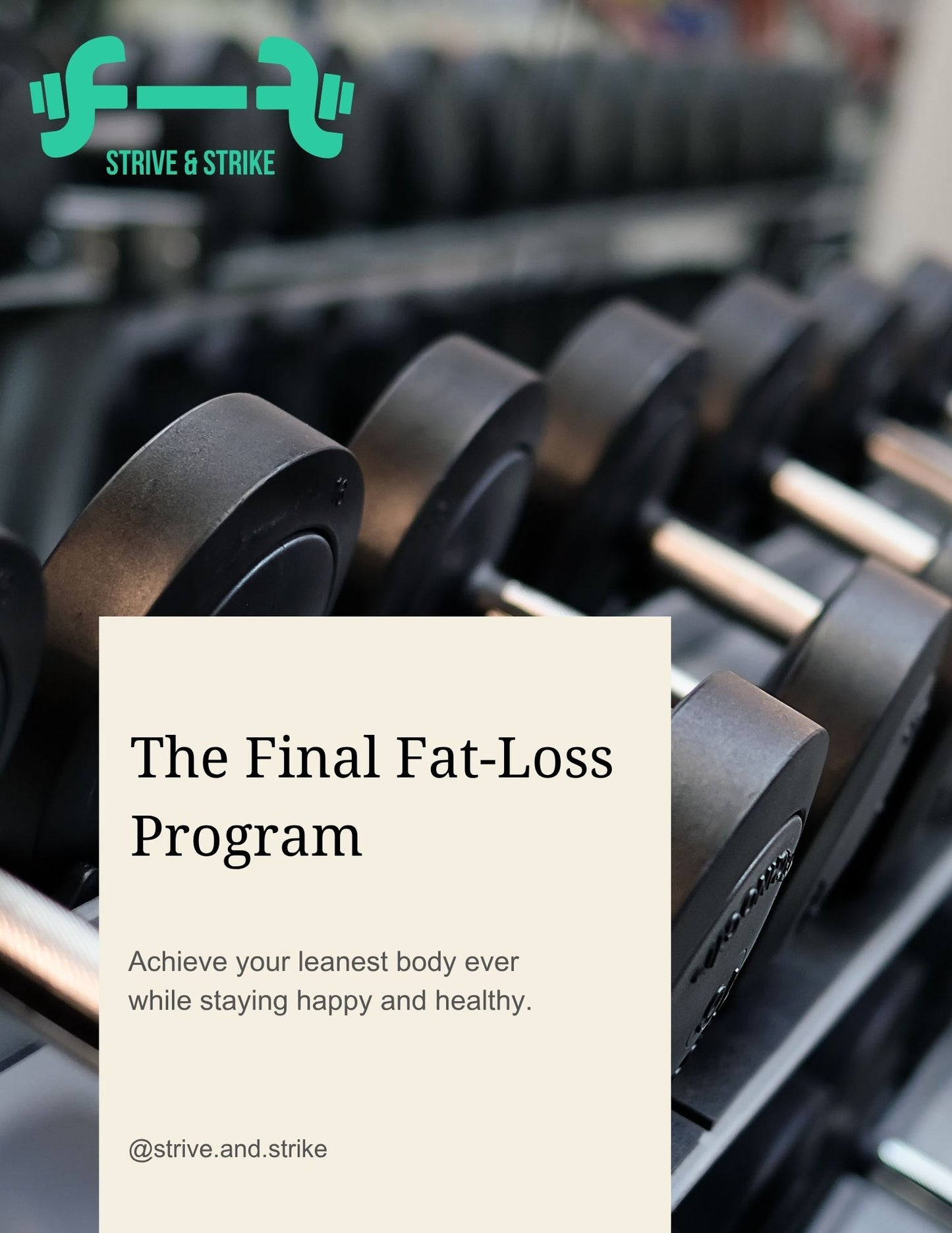 "The Ultimate Health Transformation System"